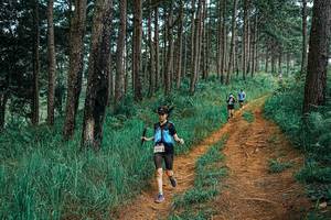 BIB: 
                            <button type="button" onclick="openModal(25666097)" class="btn btn-primary btn-sm float-right btn-popup" data-toggle="modal" data-target=".modal-high-quality">
                        <i class="fas fa-shopping-cart"></i> Add to Cart
                    </button>
                                            <button type="button" onclick="isThisMe(25666097, true)" class="btn btn-success btn-sm float-right btn-popup btn-isme hidden" data-toggle="tooltip" data-placement="bottom" title="นี่คือรูปของคุณใช่ไหม คลิกที่นี่เพื่อเอาเข้าอัลบั้ม">
                        <i class="fas fa-plus"></i> Add to album
                    </button>
                    <button type="button" onclick="isThisMe(25666097, false)" class="btn btn-warning btn-sm float-right btn-popup btn-isnotme hidden">
                        <i class="fas fa-ban"></i> Remove from album
                    </button>